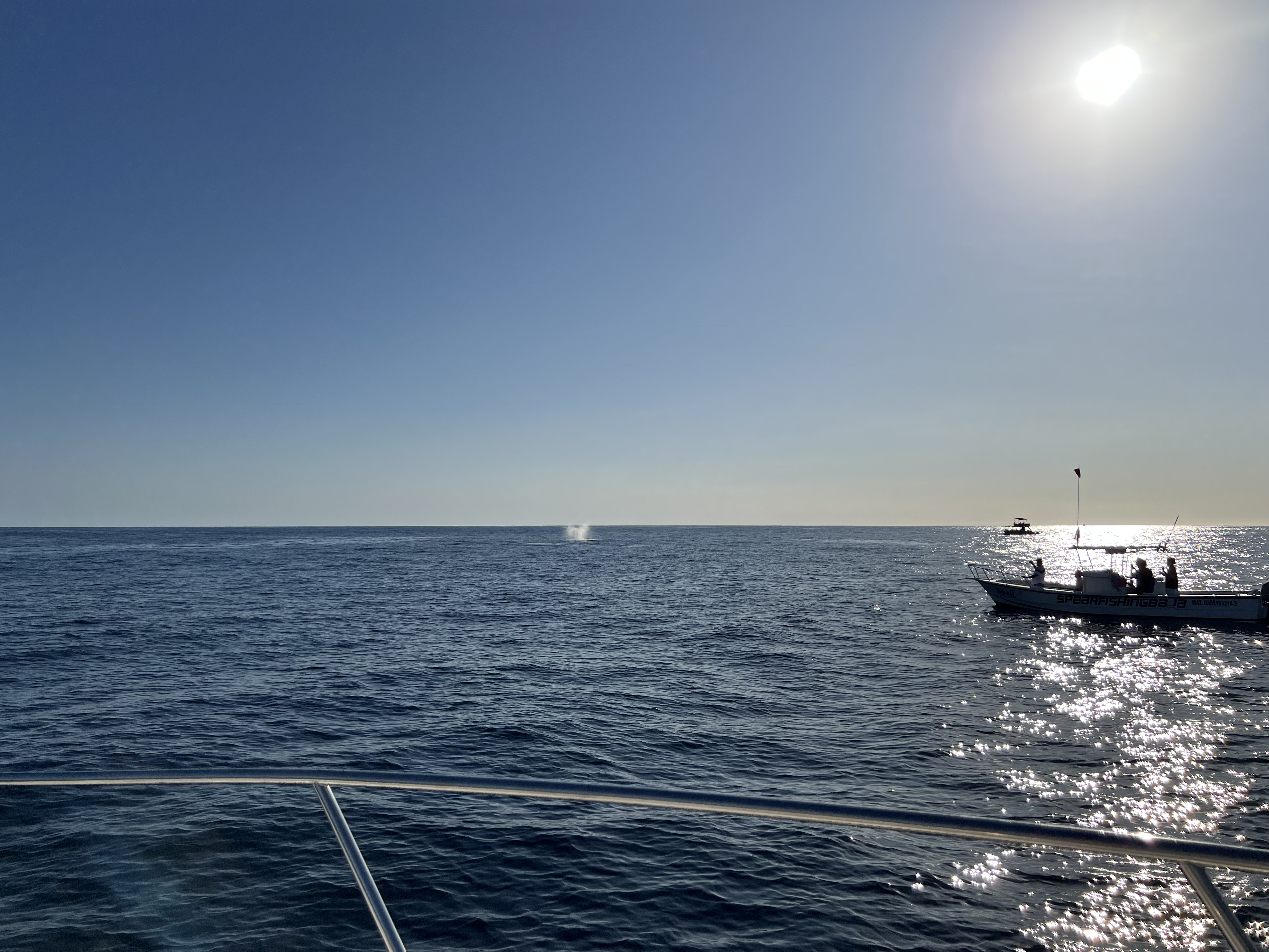 ./2024/13 - Cabo/IMG_4660.jpg